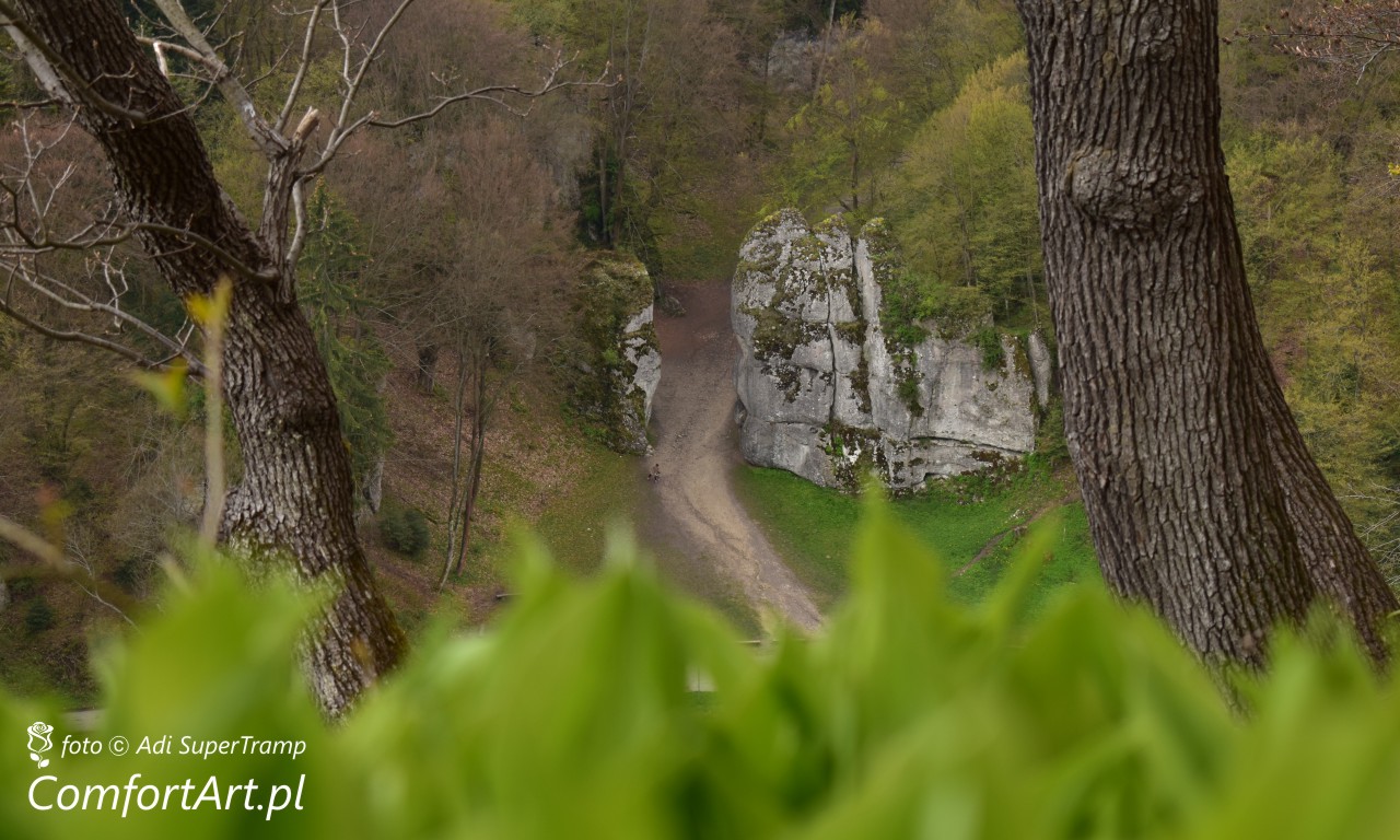ojcow szlak zielony 3
